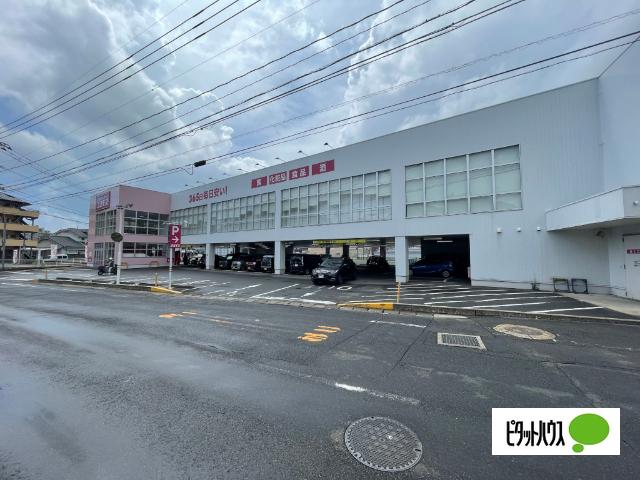 ディスカウントドラッグコスモス早苗店
