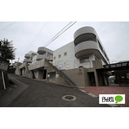 前面道路から
