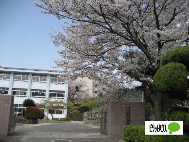 小学校