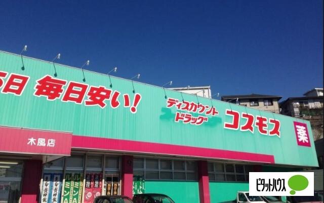ドラックストア