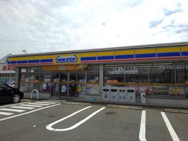 ミニストップ泊小柳店：600m