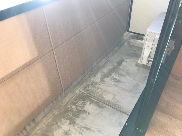 シオン 部屋画像