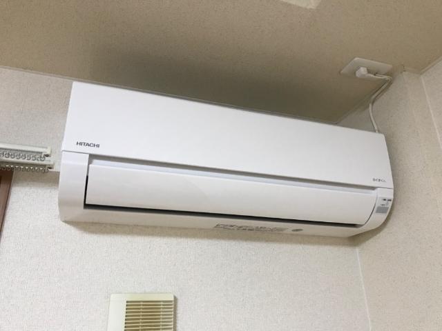 シオン 部屋画像