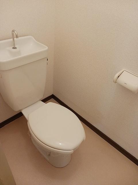 メゾンカリーノ（1A） トイレ