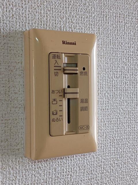 メゾンカリーノ（1A） その他部屋・スペース
