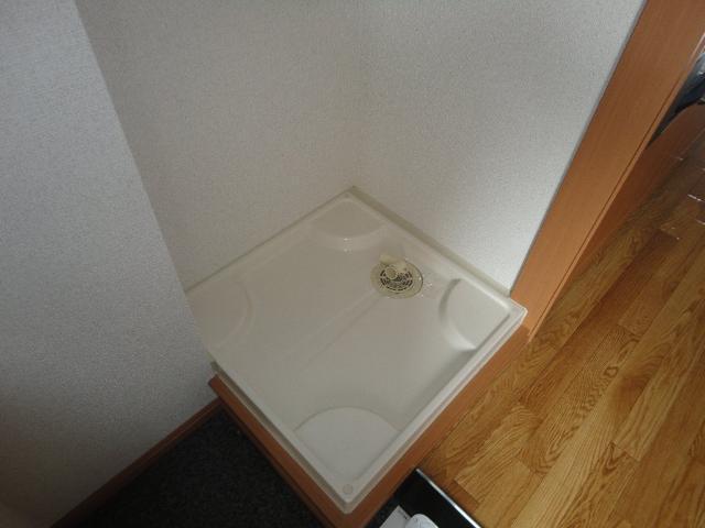 アネモネ その他