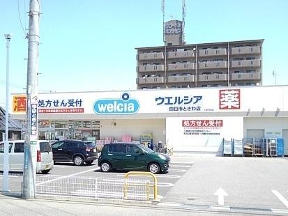 ウエルシアときわ店：500m