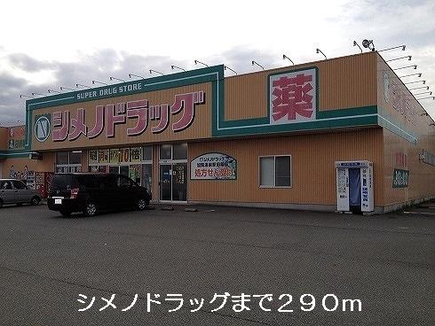 シメノドラッグ：290m