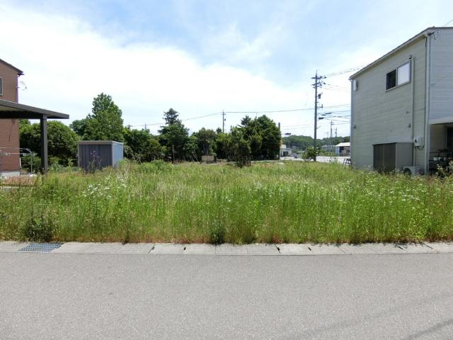 土地1