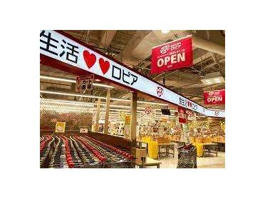 ロピア京都ヨドバシ店：370m