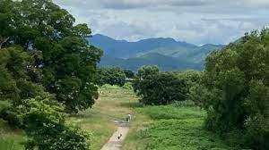 桂川緑地離宮前公園：591m
