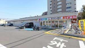 スギ薬局西大路店：362m