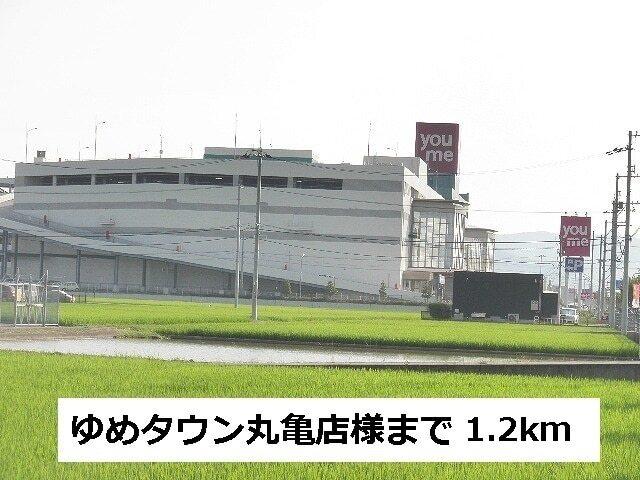丸亀市立城坤小学校：220m