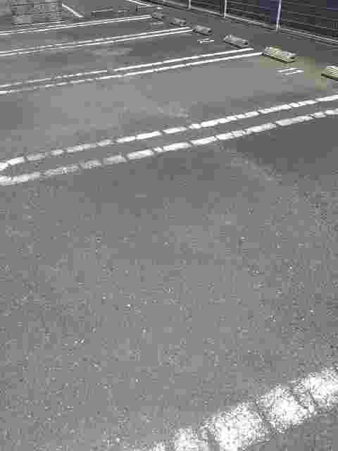 apartment 柞田町甲