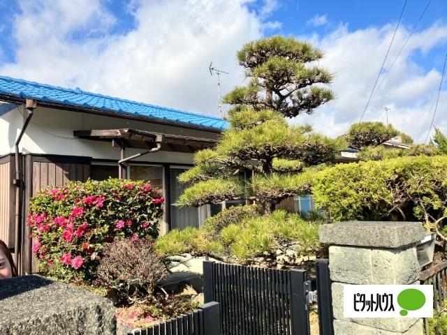 広いお庭ですよ。