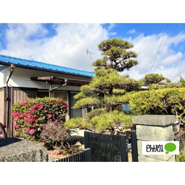 広いお庭ですよ。