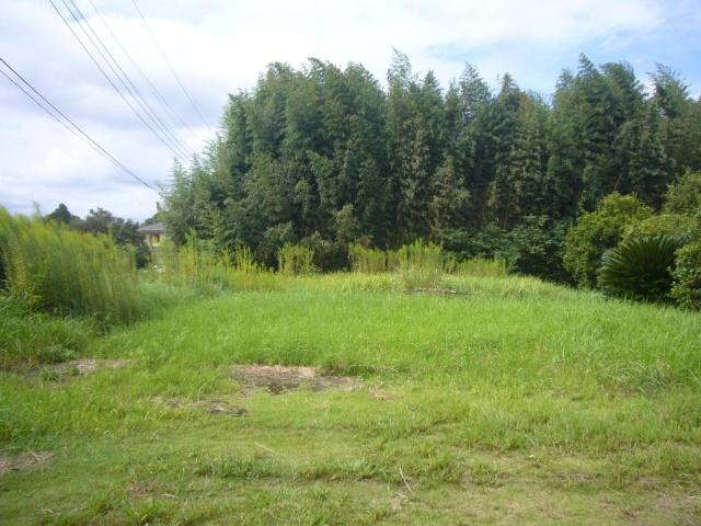 土地2