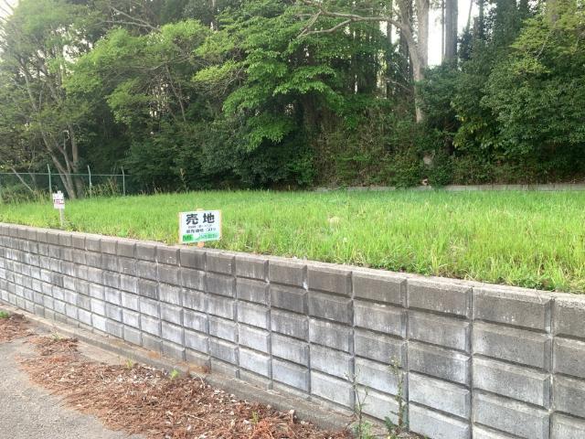 土地1