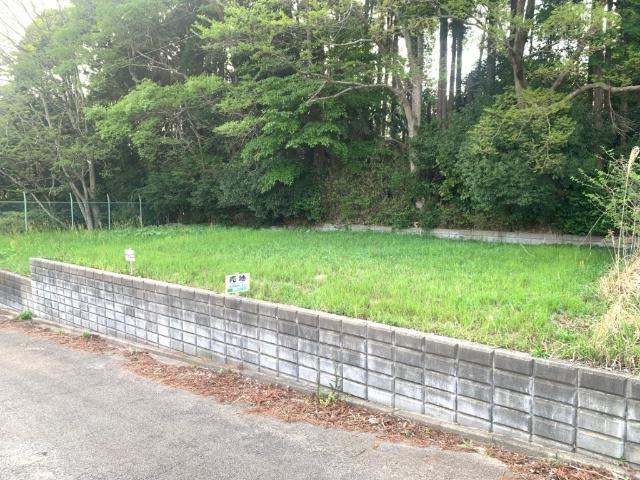 土地2
