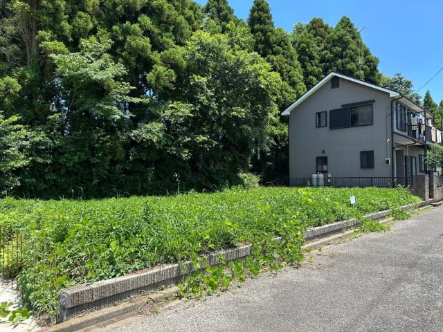 土地1
