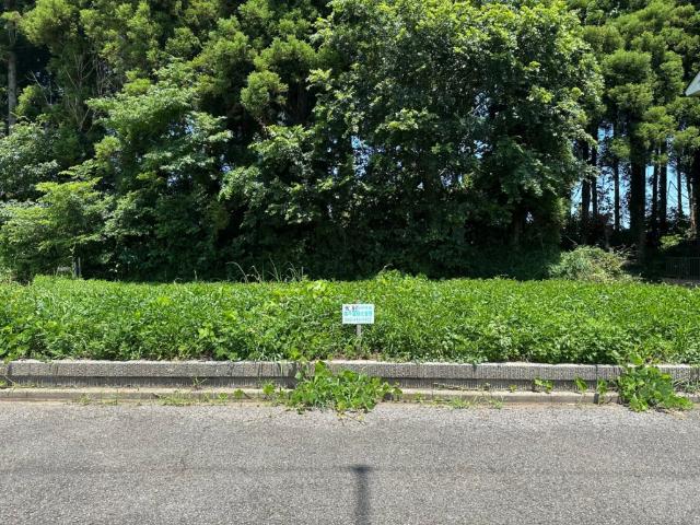 土地3