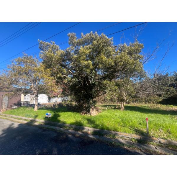 千葉県東金市家徳