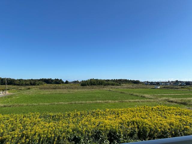 家徳1180 眺望