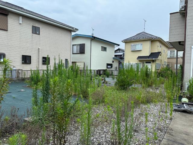 北横川980 庭