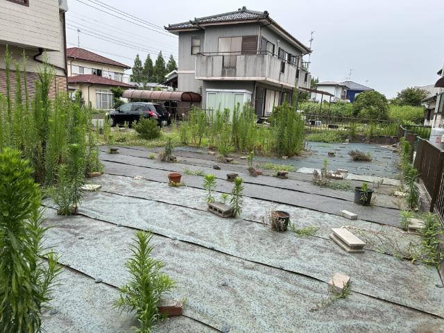 北横川980 庭