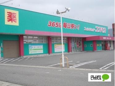 コスモス鳴門北店様：1100m