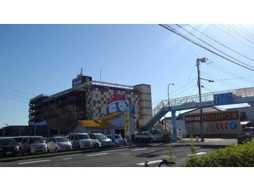 MEGAドンキホーテ徳島店様：240m