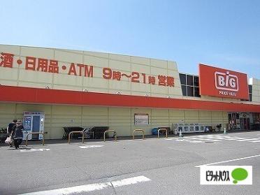 ザ・ビッグ北島店様：950m