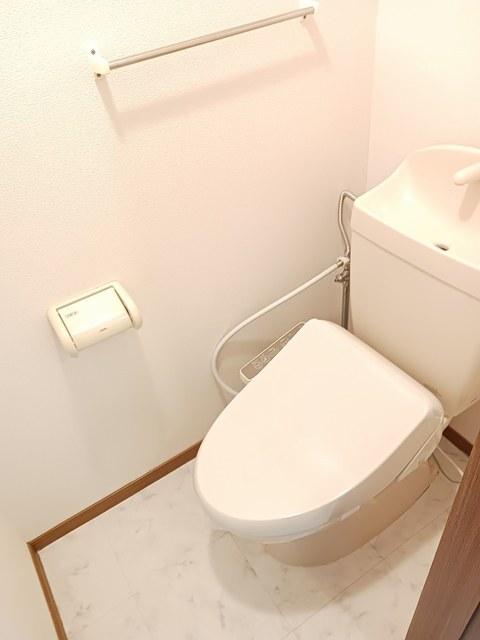 クィーンパレスＴＡＤＡ．Ｃ棟（101） トイレ