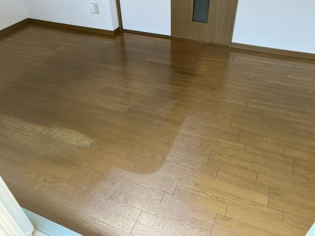 ルミナスコート（104） 部屋画像