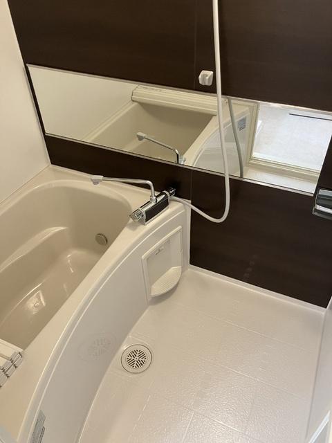 ベルティルミナス（203） 部屋画像