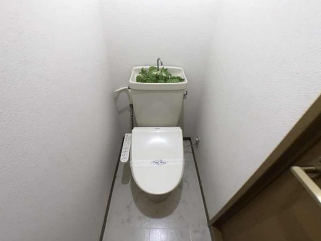 セジュールＭＩＹＡ（102） 部屋画像