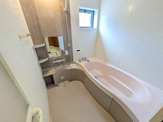 メゾン･ラフィーネ　A棟（A102） 部屋画像