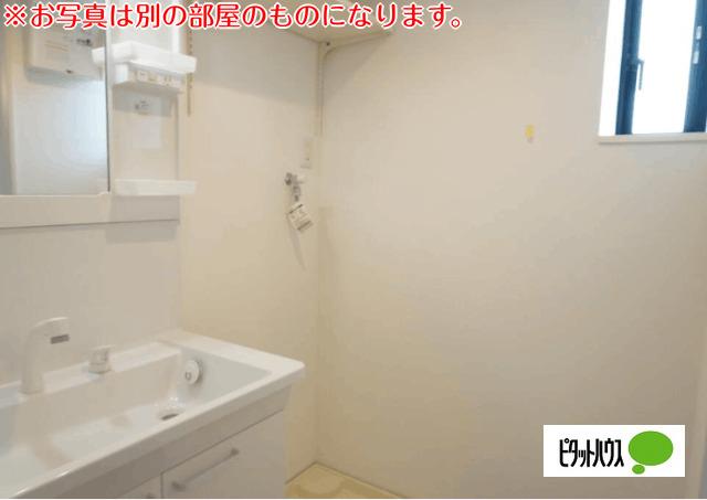 ココカラハウス庄町（C101） 洗面