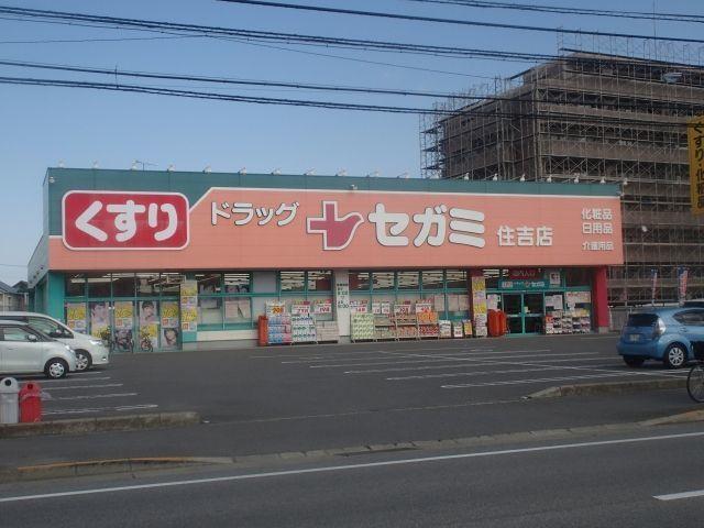セガミさん：600m