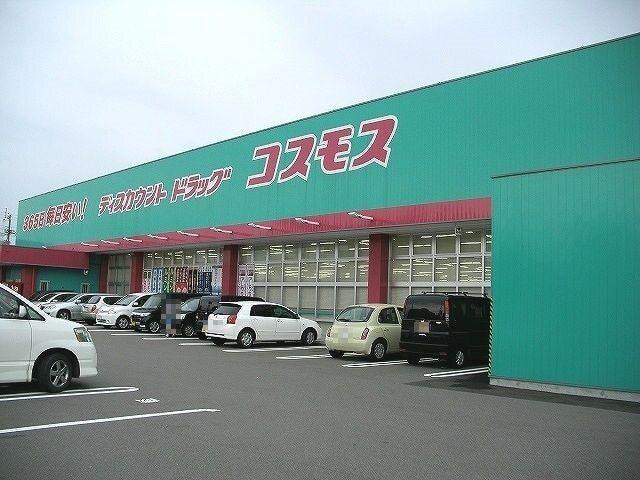 コスモスさん：750m