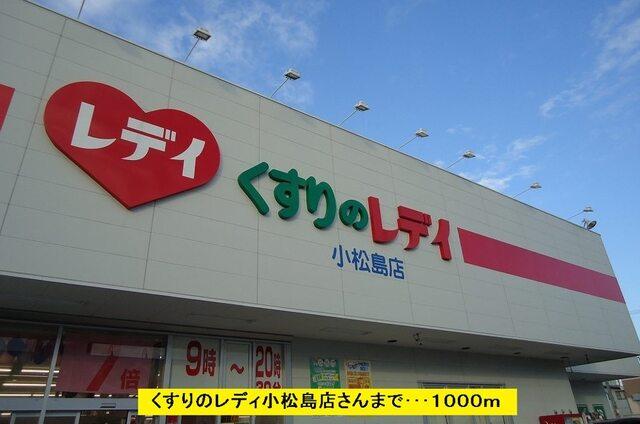 レディ薬局：1000m