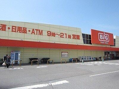 ザ・ビッグ北島店様：950m