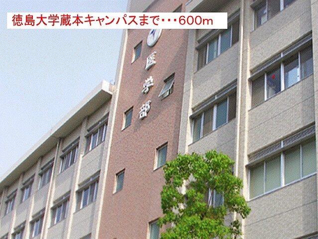 徳島大学蔵本キャンパス：600m