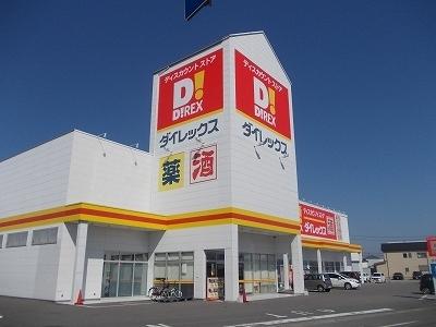 ダイレックス板野店様：900m