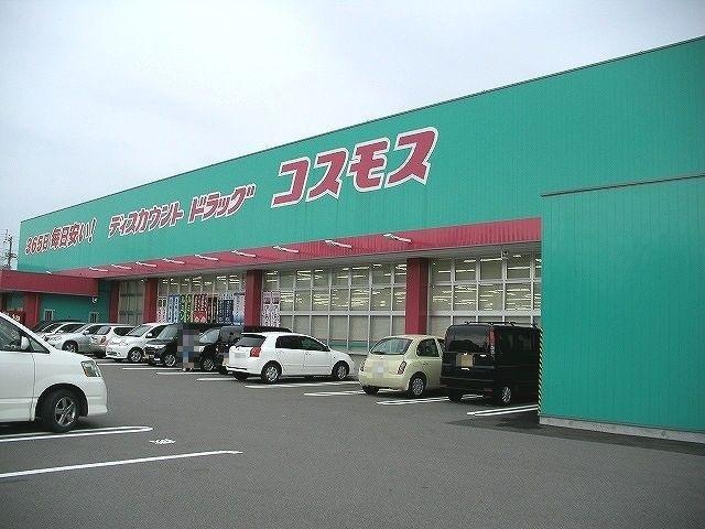 コスモスさん：1600m