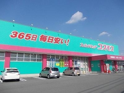 コスモス藍住店様：750m