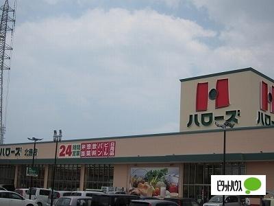 ハローズ北島店：502m