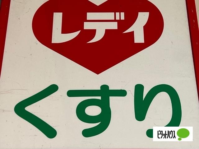 くすりのレデイ庄町店：231m
