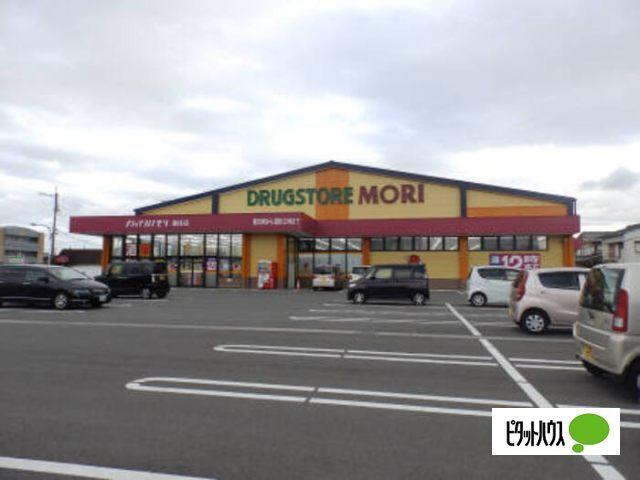 ドラッグストアモリ藍住店：2309m