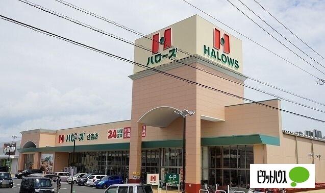 ハローズ住吉店：1151m